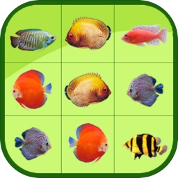 49223:CC-WWW:49223:CC